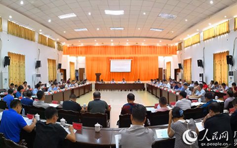 广西糖料蔗改革工作现场会 推进订单农业 端好“糖罐子”