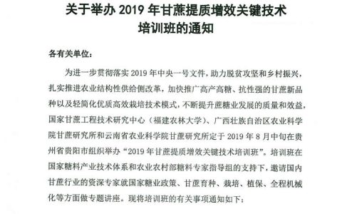 关于举办2019年甘蔗提质增效关键技术培训班的通知