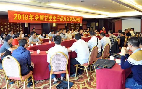 2019年全国甘蔗生产信息监测培训研讨会在大理召开
