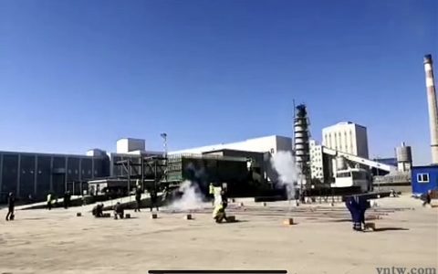 内蒙古拉开新榨季生产序幕 现为国内最大甜菜糖产区 发展势头迅猛