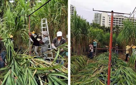 海南甘蔗育种场积极应对12号台风“杨柳”全力开展防御救灾工作