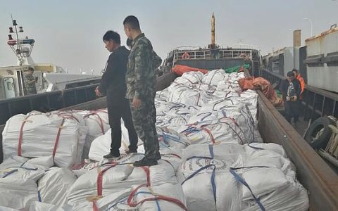 11月1日浙江海警局查获走私糖案 涉案白糖700吨