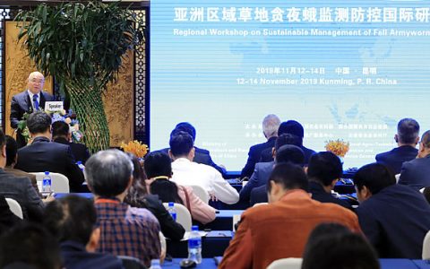 还记得它吗？亚洲11国达成草地贪夜蛾防控昆明共识