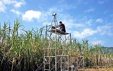 广西日报：气象有了智慧 甜蜜事业更甜