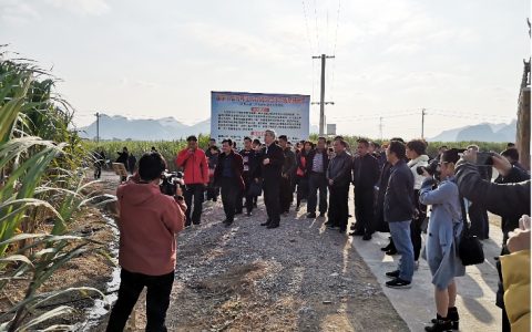 广西召开甘蔗良种繁育推广基地管理工作会议