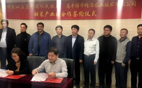内蒙通辽市科左中旗将建百万吨级甜菜糖厂 与北京首农集团签约