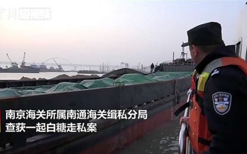 视频：江苏南通海关查获走私白糖600吨