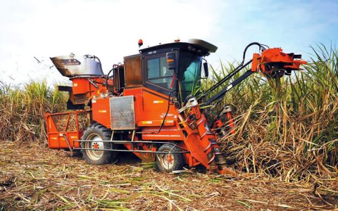 截至4月底云南产糖173万吨 同比减产36万吨 减幅17.05%