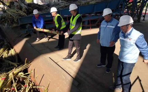 中粮梁河县芒东糖厂正式落蔗开榨