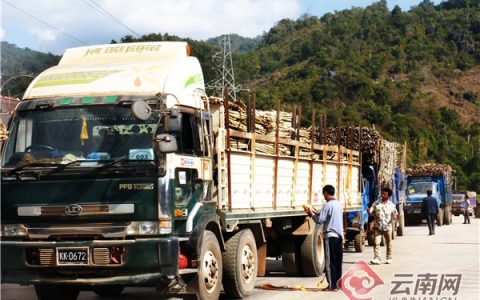 云南镇康：甘蔗产业成为境内外群众增收致富支柱