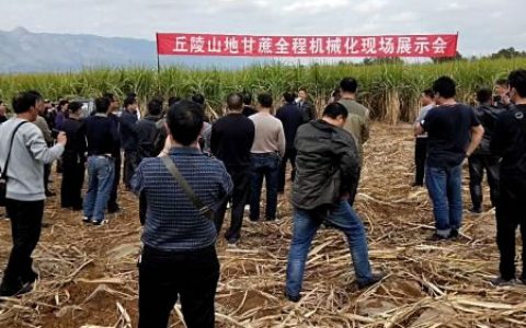 临沧市召开丘陵山地甘蔗全程机械化推进现场会