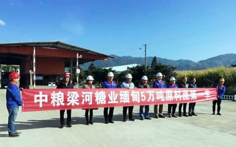 缅甸原料蔗成功进入德宏州中粮梁河糖业公司