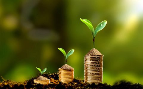 国开行发挥开发性金融优势支持广西蔗糖产业发展