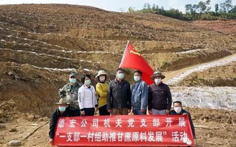 英茂糖业德宏公司职工积极自筹资金租赁土地种植甘蔗