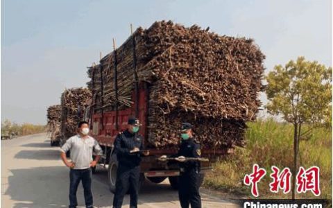 糖厂“等米下锅”  瑞丽海关实施“5+2”“白+黑”通关保障模式