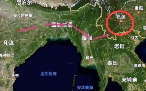 云南有被沙漠蝗侵入的风险 官方发布紧急通知