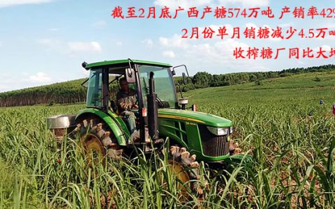 广西最新产销数据公布 今日糖价小幅报高10元