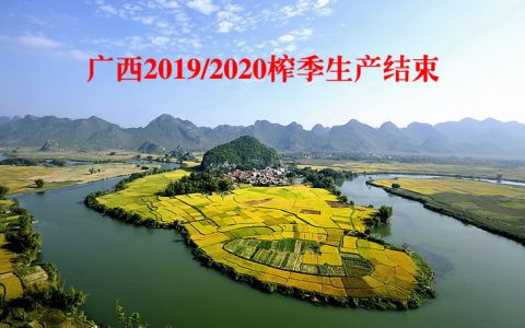 广西2019/2020榨季生产结束 预计减产30万吨