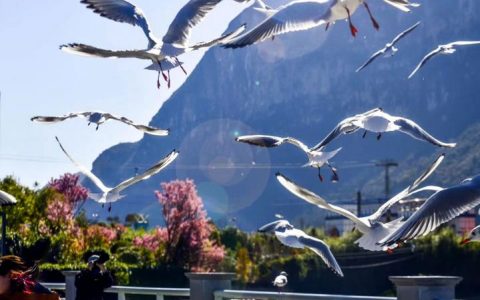 云南省产业强省三年行动（2022—2024年）全文（含甘蔗）