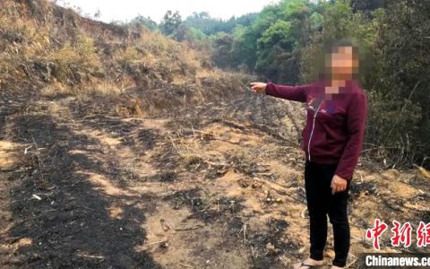 云南陇川森林火灾：村民违规用火烧甘蔗叶 烧毁45公顷森林