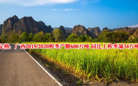 定格：广西2019/2020榨季产糖600万吨 同比上榨季减产34万吨