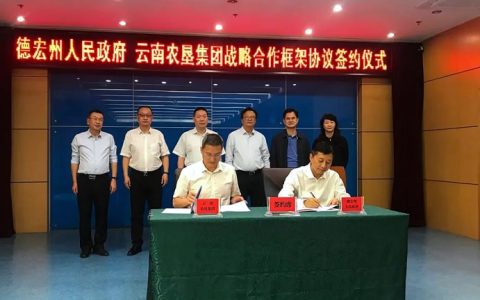 云南农垦集团与德宏州签订战略合作框架协议 含提升蔗糖产业