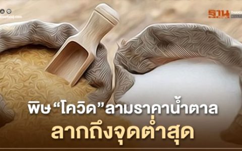 泰国：新冠病毒使蔗糖价格暴跌 泰国食糖出口收入将减少
