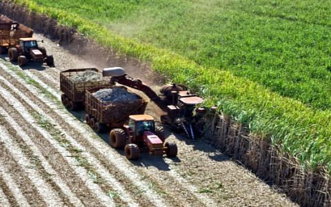 巴西Conab：4月份开始的新榨季预计产糖4000万吨以上