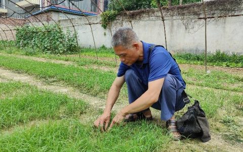 甘蔗育种专家卢文祥：痴心研究十余载 助“甜蜜事业”更甜蜜