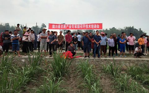 德宏州陇川县2019/20榨季入榨蔗突破200万吨 创历史新高