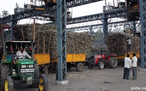 印度2020/21榨季产糖量预计大幅增长 将超3000万吨