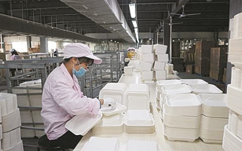 广西造纸工业2019年发展形势与展望