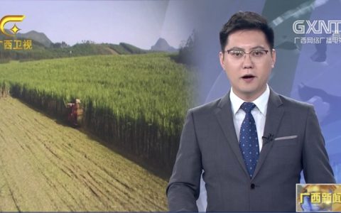 深化体制机制改革 谱写广西糖业高质量发展新篇章