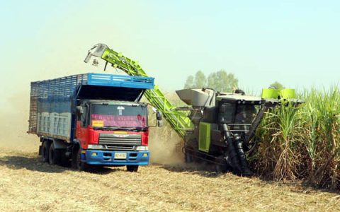 中联重科甘蔗收获机项目荣获安徽科学技术进步奖一等奖