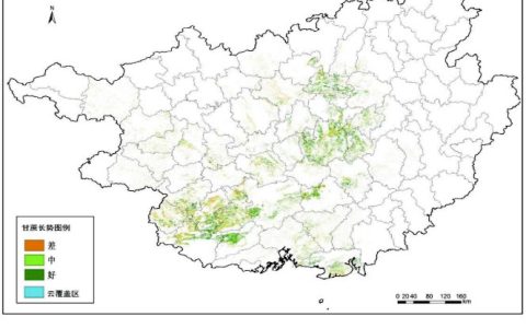广西甘蔗气象服务中心：甘蔗长势总体偏好 桂南需防高温干旱