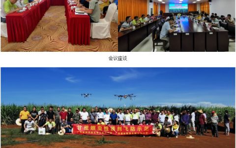 国家糖料产业技术体系粤西-琼北片区2020年工作会议在湛江召开