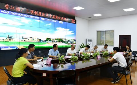 南宁糖业三项制度改革 建立赛马机制 试点取得成效