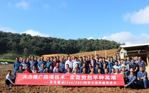 英茂糖业召开2020/2021榨季甘蔗种植推进暨品种审定会