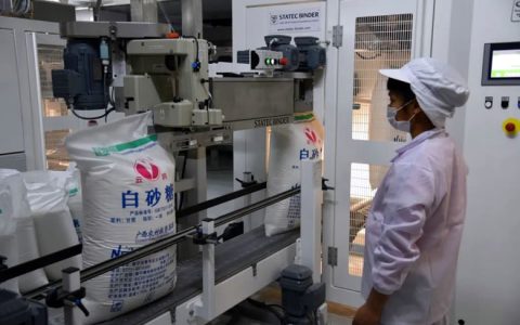 南宁糖业：“甜蜜事业”迎来收获季