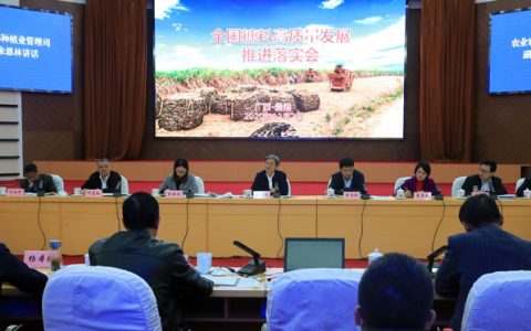 全国糖料高质量发展推进落实会 力争全国糖料种植面积稳定在2500万亩