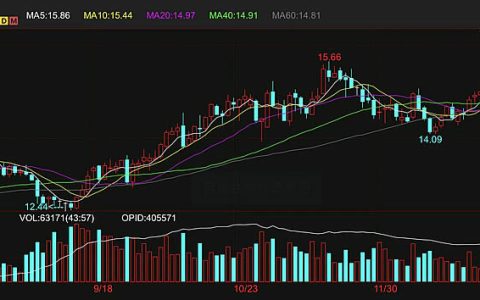 连续9个交易日上涨后外盘原糖期货大幅回调