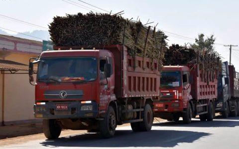 缅甸政变是否对国内开展甘蔗替代种植的糖厂生产造成影响？
