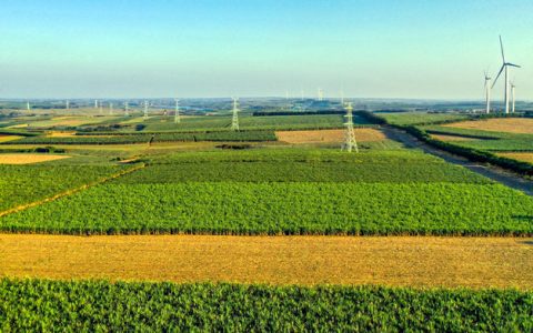 湛江市2020/21榨季生产结束 上榨季产量占比广东省90%