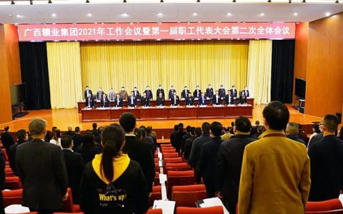 抓内强 谋新篇 延外拓 开新路--广西糖业集团召开2021年工作会议