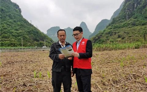 广西：甘蔗贷，为蔗农“贷”来甜蜜