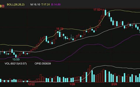 隔夜外盘原糖期货跌破15美分 基金退场