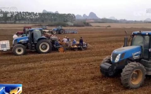 机械化助力甘蔗种植 广西崇左智慧农机成亮点