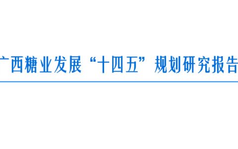 广西糖业的未来--《广西糖业发展“十四五”规划研究报告》
