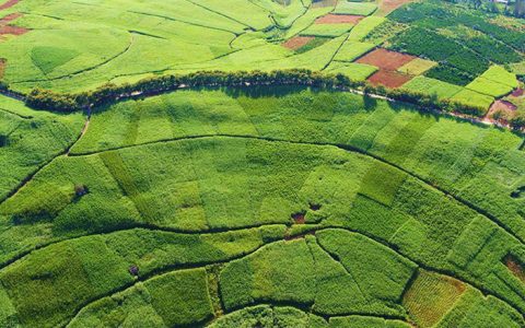 云南农垦糖业集团召开2024/25榨季专题会 产糖超20万吨 产糖率13.37%