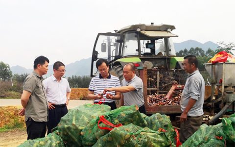 南宁糖业：精心管理提高单产 多元发展增加效益